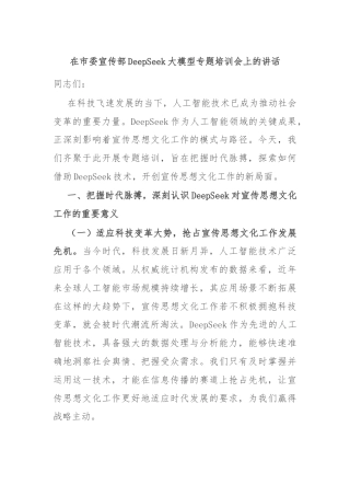 在市委宣传部DeepSeek大模型专题培训会上的讲话