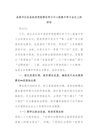县委书记在县政府党组理论学习中心组集中学习会议上的讲话