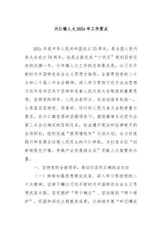 兴仁镇人大202x年工作要点