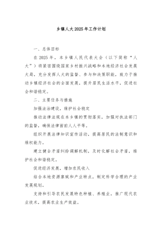 乡镇人大2025年工作计划