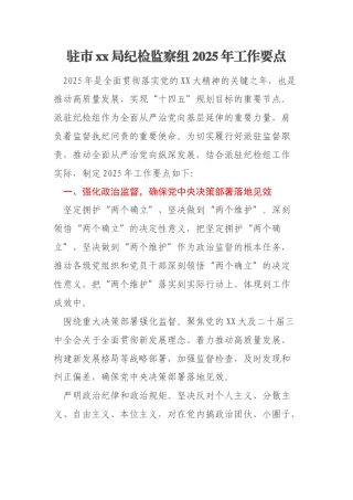 驻市xx局纪检监察组2025年工作要点