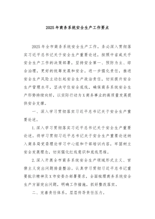 2025 年商务系统安全生产工作要点