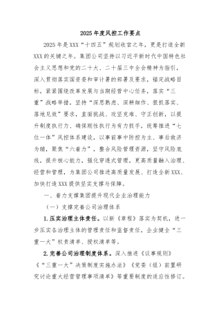 2025年度风控工作要点