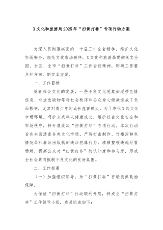 X文化和旅游局2025年“扫黄打非”专项行动方案