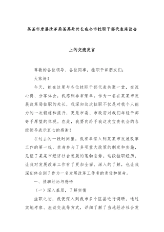某某市发展改革局某某处处长在全市挂职干部代表座谈会上的交流发言