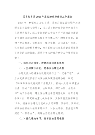 某县税务局2024年度法治政府建设工作报告