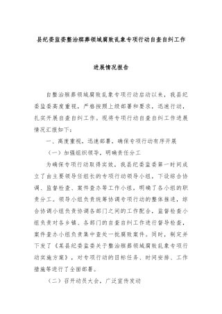 县纪委监委整治殡葬领域腐败乱象专项行动自查自纠工作进展情况报告