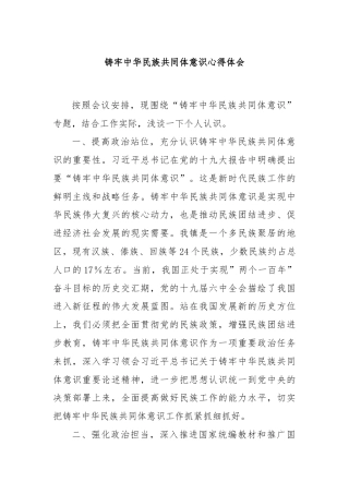 铸牢中华民族共同体意识心得体会