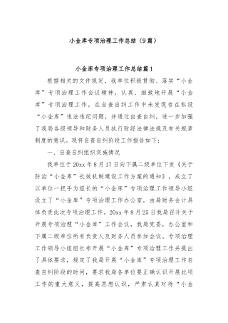 (9篇)小金库专项治理工作总结