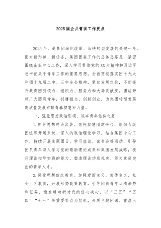 2025国企共青团工作要点