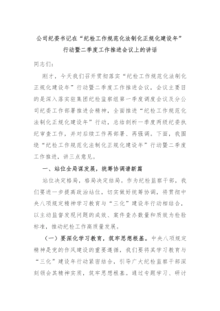 公司纪委书记在“纪检工作规范化法制化正规化建设年”行动暨二季度工作推进会议上的讲话