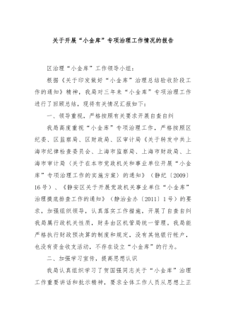 关于开展“小金库”专项治理工作情况的报告