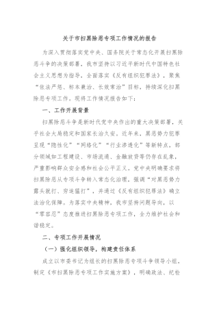 关于市扫黑除恶专项工作情况的报告
