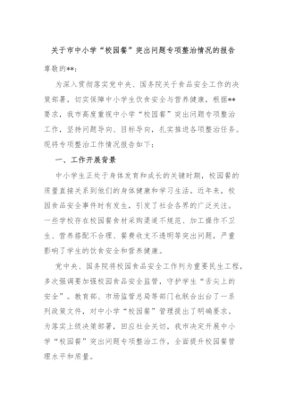 关于市中小学“校园餐”突出问题专项整治情况的报告
