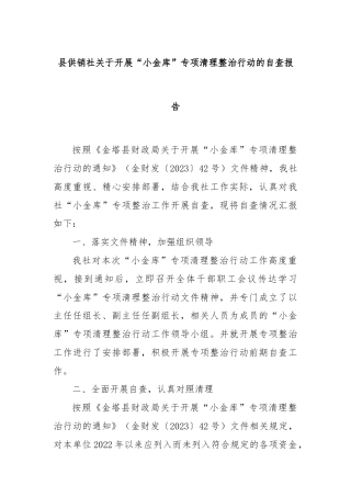 县供销社关于开展“小金库”专项清理整治行动的自查报告
