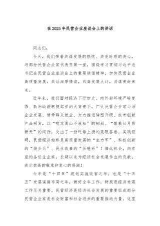 在2025年民营企业座谈会上的讲话