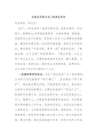 在国企任职大会上的表态发言