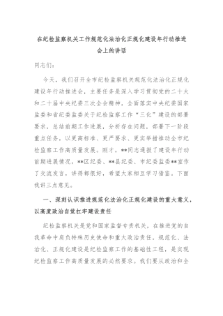 在纪检监察机关工作规范化法治化正规化建设年行动推进会上的讲话