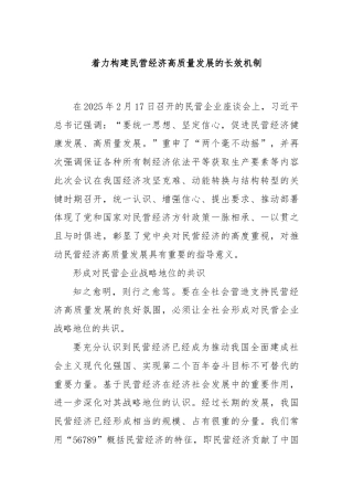着力构建民营经济高质量发展的长效机制