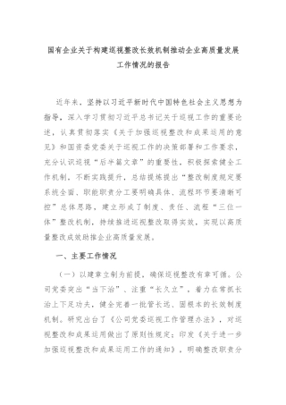国有企业关于构建巡视整改长效机制推动企业高质量发展工作情况的报告