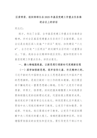 区委常委、组织部部长在2025年基层党建工作重点任务推进会议上的讲话