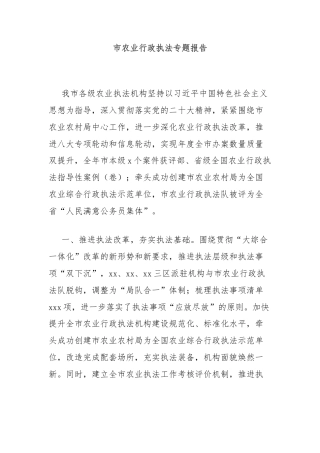 市农业行政执法专题报告