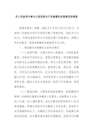 市人民政府外事办公室党组关于巡察整改进展情况的通报