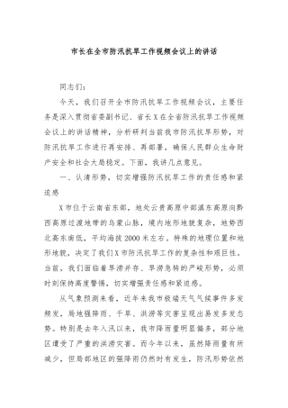 市长在全市防汛抗旱工作视频会议上的讲话