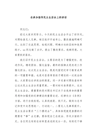 在参加指导民主生活会上的讲话