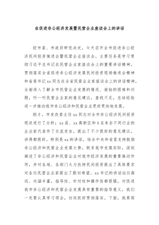 在促进非公经济发展暨民营企业座谈会上的讲话