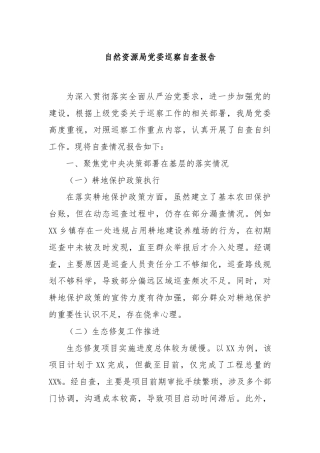 自然资源局党委巡察自查报告