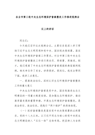 在全市第三轮中央生态环境保护督察整改工作推进视频会议上的讲话