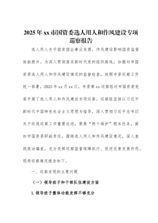 2025年xx市国资委选人用人和作风建设专项巡察报告