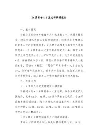 Xx县青年人才党支部调研报告