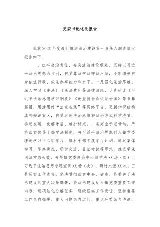 党委书记述法报告