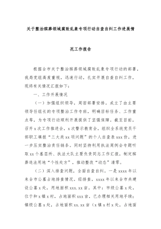 关于整治殡葬领域腐败乱象专项行动自查自纠工作进展情况工作报告