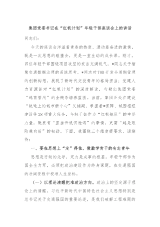 集团党委书记在“红帆计划”年轻干部座谈会上的讲话