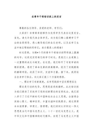 在青年干部培训班上的发言