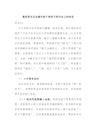 镇党委书记在镇年轻干部学习研讨会上的讲话