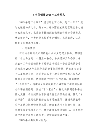 X市供销社2025年工作要点