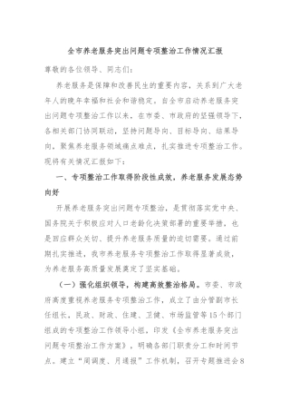 全市养老服务突出问题专项整治工作情况汇报