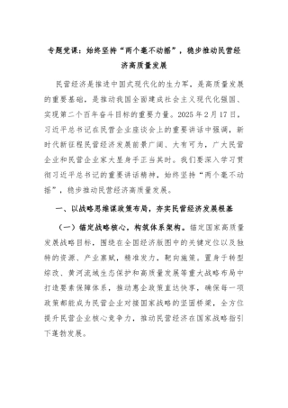 专题党课：始终坚持“两个毫不动摇”，稳步推动民营经济高质量发展