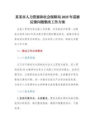 某某市人力资源和社会保障局2025年巡察反馈问题整改工作方案