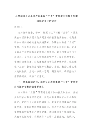 分管副市长在全市农村集体“三资”管理突出问题专项整治推进会上的讲话