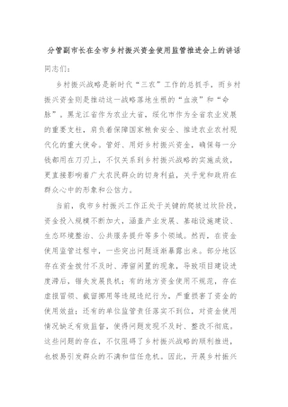 分管副市长在全市乡村振兴资金使用监管推进会上的讲话