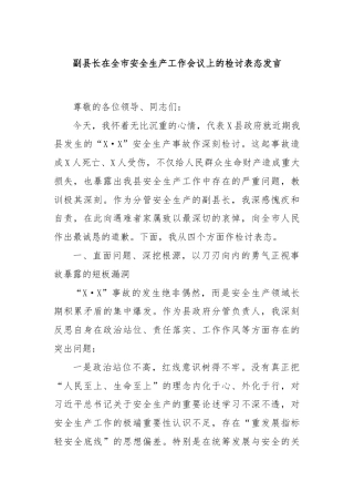 副县长在全市安全生产工作会议上的检讨表态发言