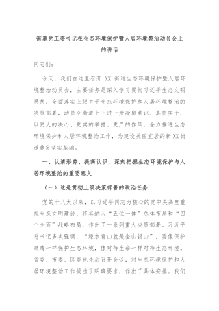 街道党工委书记在生态环境保护暨人居环境整治动员会上的讲话