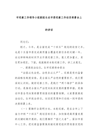 市巡察工作领导小组副组长在市委巡察工作动员部署会上的讲话