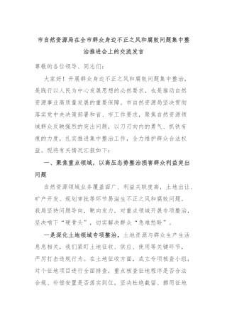 市自然资源局在全市群众身边不正之风和腐败问题集中整治推进会上的交流发言