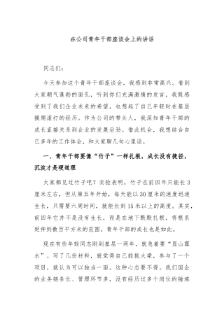 在公司青年干部座谈会上的讲话